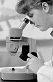 Student looks into a microscope