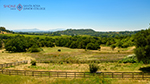 Shone Farm pastoral view