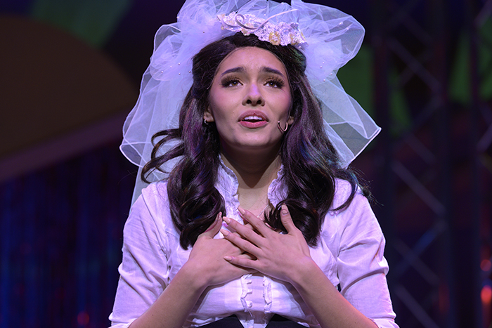 Photo from SRJC production of The Wedding Singer